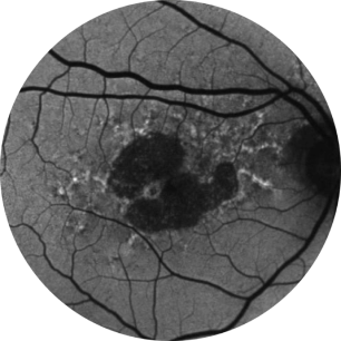Avaliação inicial Ano 1